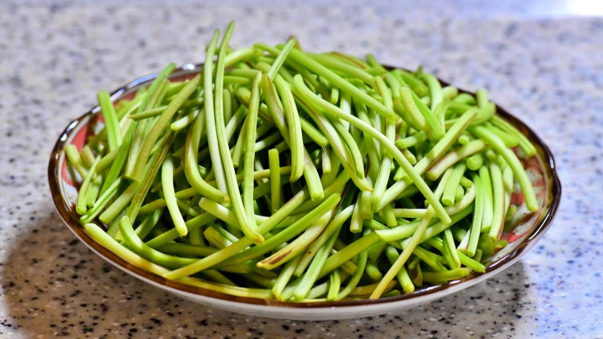 고구마순(줄기) / green scent-shutterstock.com