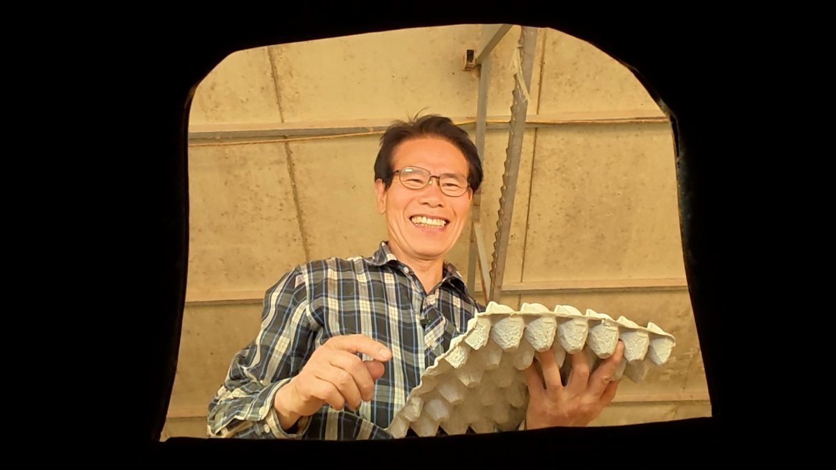 한국기행 '마이웨이' 1부…재래닭과 60마리의 개!