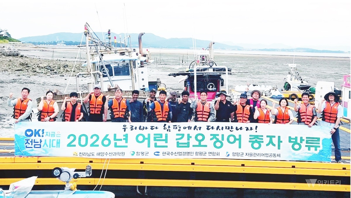 함평만 황금어장 부활 신호탄… 석창항 앞바다에 주꾸미 10만·갑오징어 5만 마리 새 보금자리