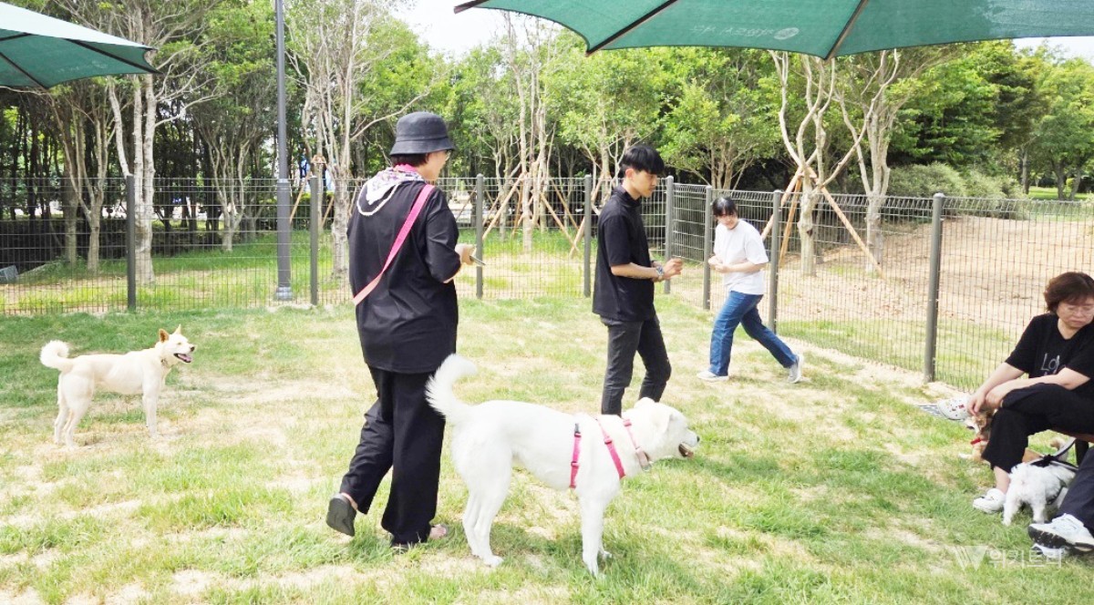 댕댕이 핫플 뜬다…광주 1호 공공 반려견 놀이터 서구 개장