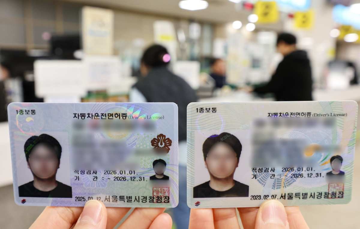 기사 이해를 돕기 위한 면허증 사진  / 뉴스1