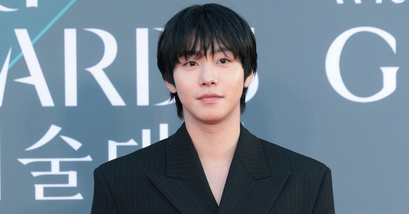  Why Ahn Hyo-seop Is a Global K-Drama Favorite: 5 Must-Watch Roles for New Fans