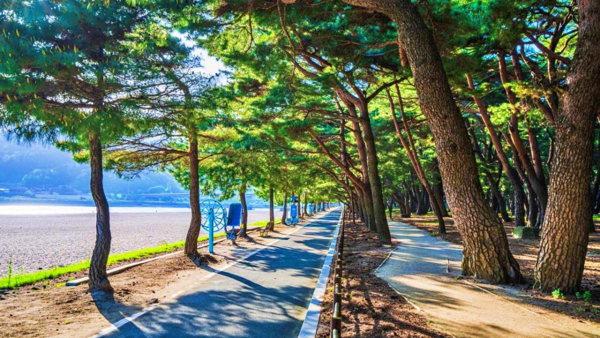 하동 송림공원 / 한국관광공사(촬영 : 김지호)