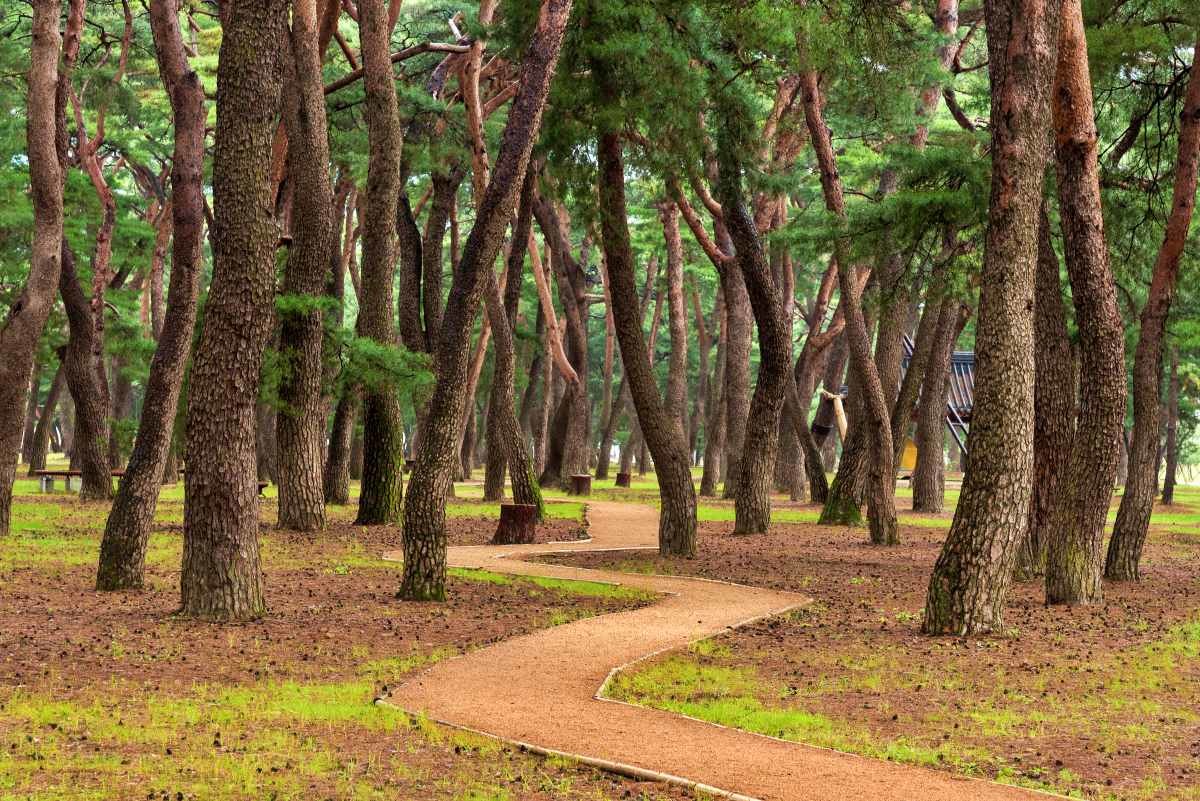 하동 송림공원 / 경상남도 하동군-공공누리