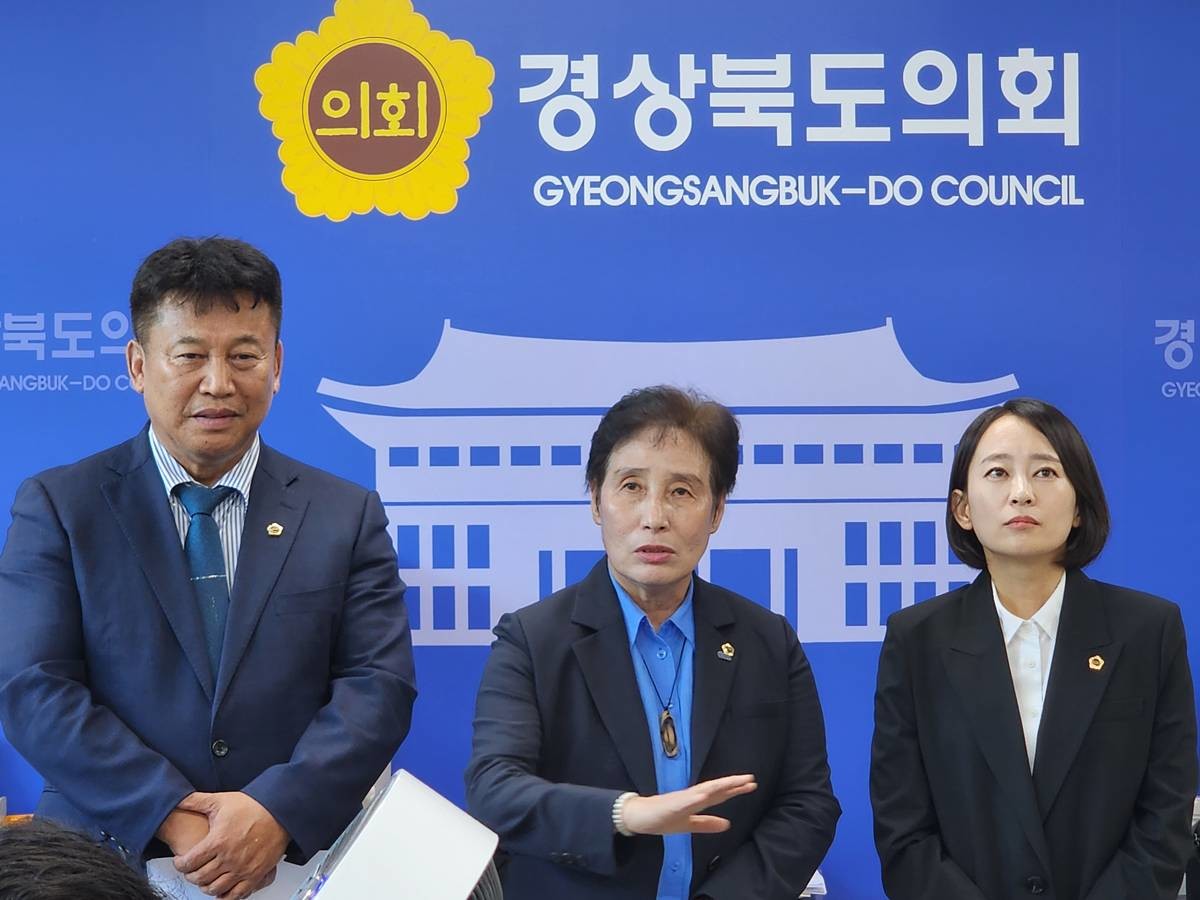 더불어민주당 경북도의원단 2일 기자회견/민주당