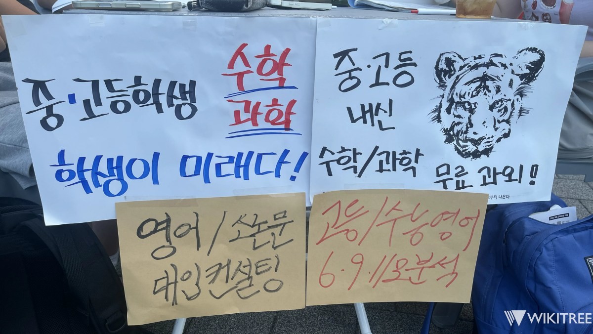잠실 올림픽공원에 무료 과외를 하는 모습. / 위키트리