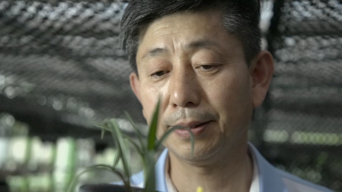 EBS1 '한국기행' 미리보기 페이지에서 제공하는 '풀 한 포기에 1억 원?' 편 자료 사진. / EBS1 제공
