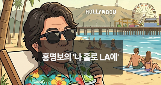 [위키만평] 홍명보의 '나 홀로 LA에'