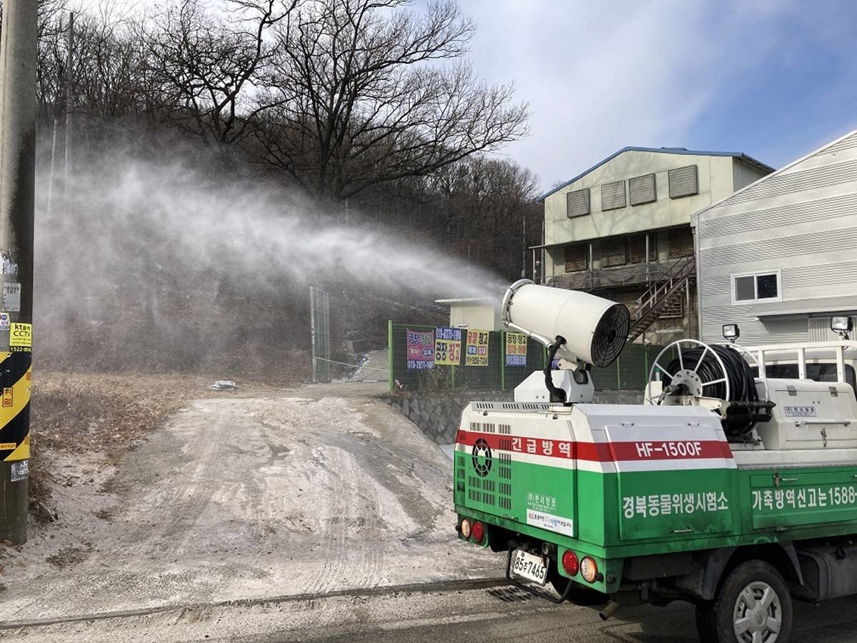 경북 예천군 돼지·소 농장에서 구제역이 발생, 관계당국이 긴급 방역에 나섰다./경북도