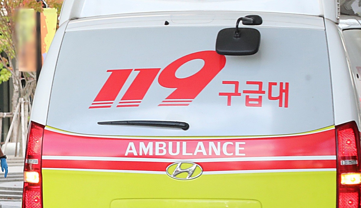 기사 이해를 돕기 위한 자료 사진 / 뉴스1