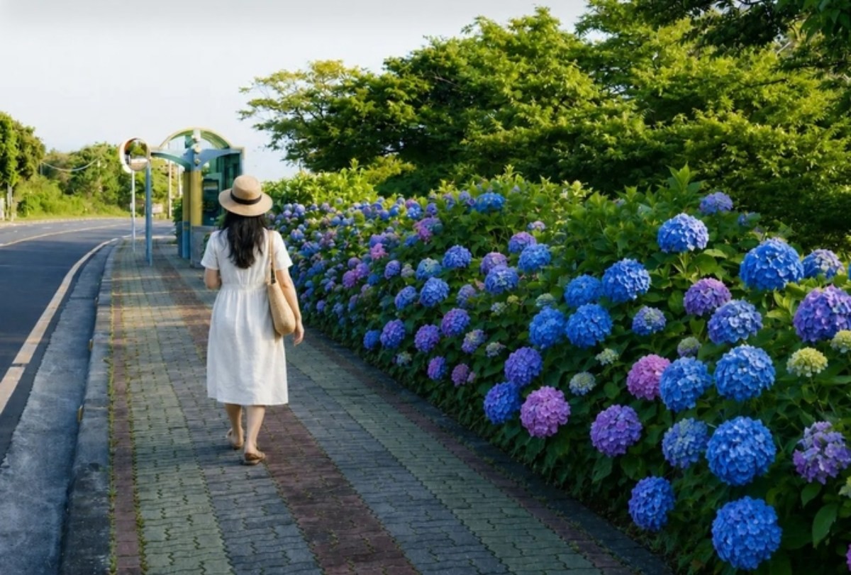 제주관광공사 제공