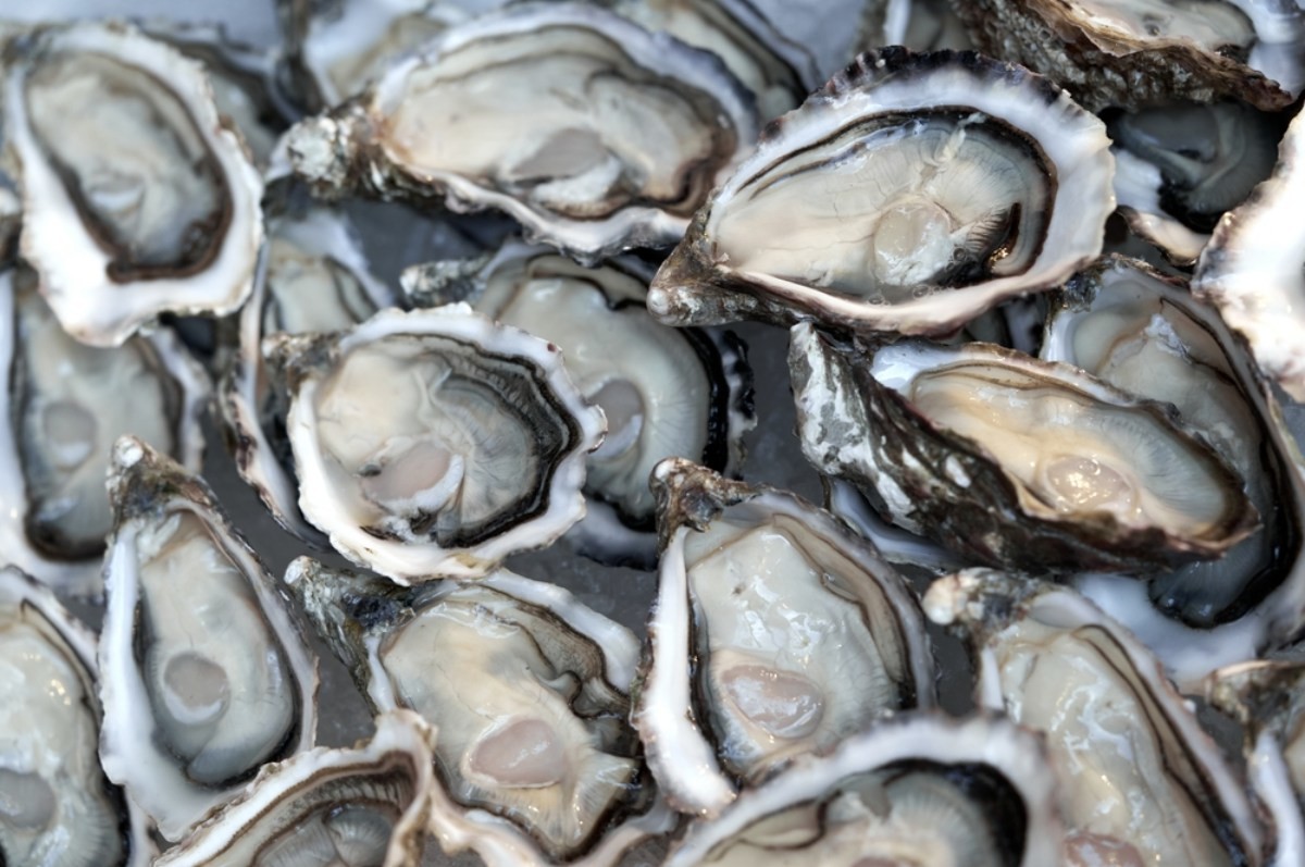 굴 자료사진. / 5m-shutterstock.com