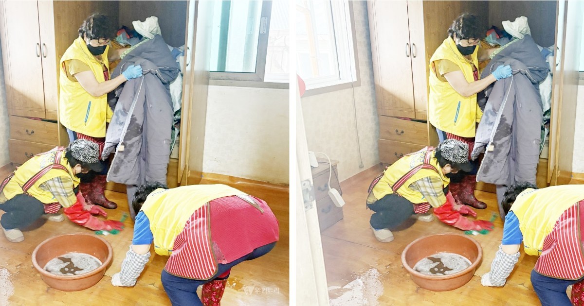“따뜻한 한 끼가 전한 희망”…함평군, 독거어르신 돌봄 봉사 ‘훈훈’