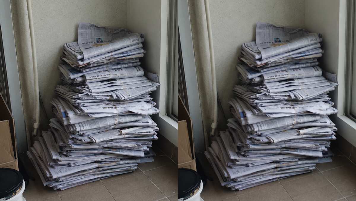 장마철 여름 집에 두면 안 됩니다… '벌레·곰팡이' 키우는 최악의 습관 3가지