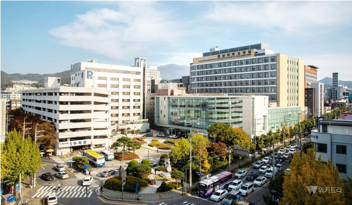 전남대병원, 국내 첫 AI·AR 병원동행 서비스 구축