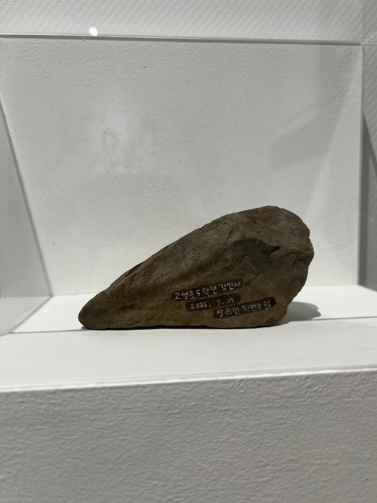온라인 커뮤니티 에펨코리아