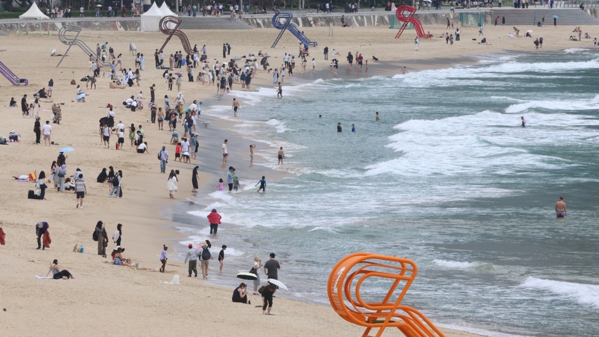 부산·제주 앞바다에 널렸는데… 보이면 무조건 피해야하는 '독성 해파리'의 정체