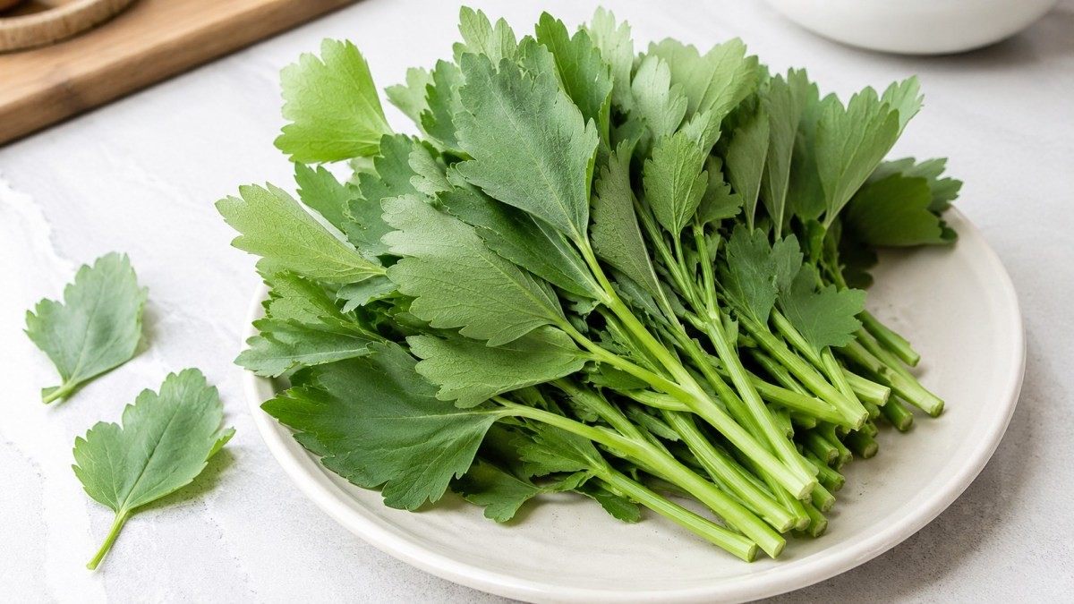 기사 이해를 돕기 위해 AI로 제작한 자료 이미지로, 실제 모습과 다소 차이가 있을 수 있습니다.