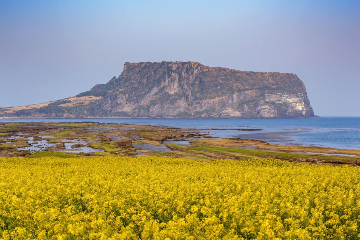 기사 이해를 돕기 위한 사진. / Noppasin Wongchum-shutterstock.com