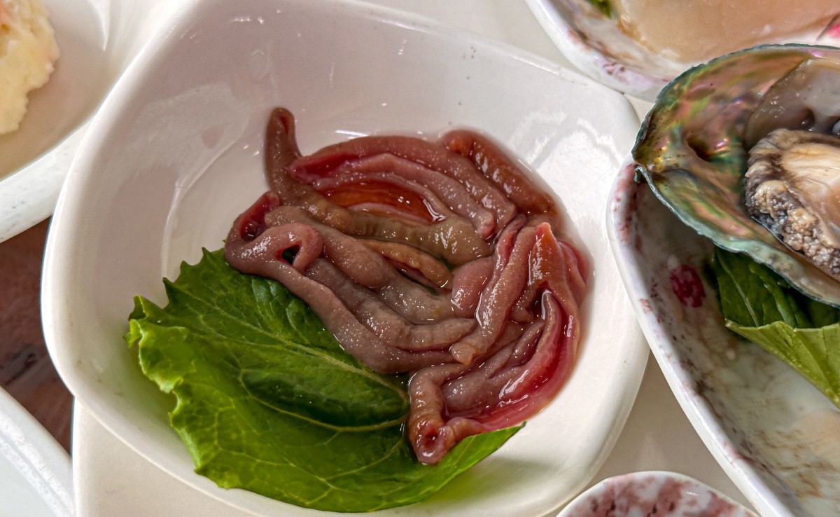 개불 자료사진. / Light Win-shutterstock.com