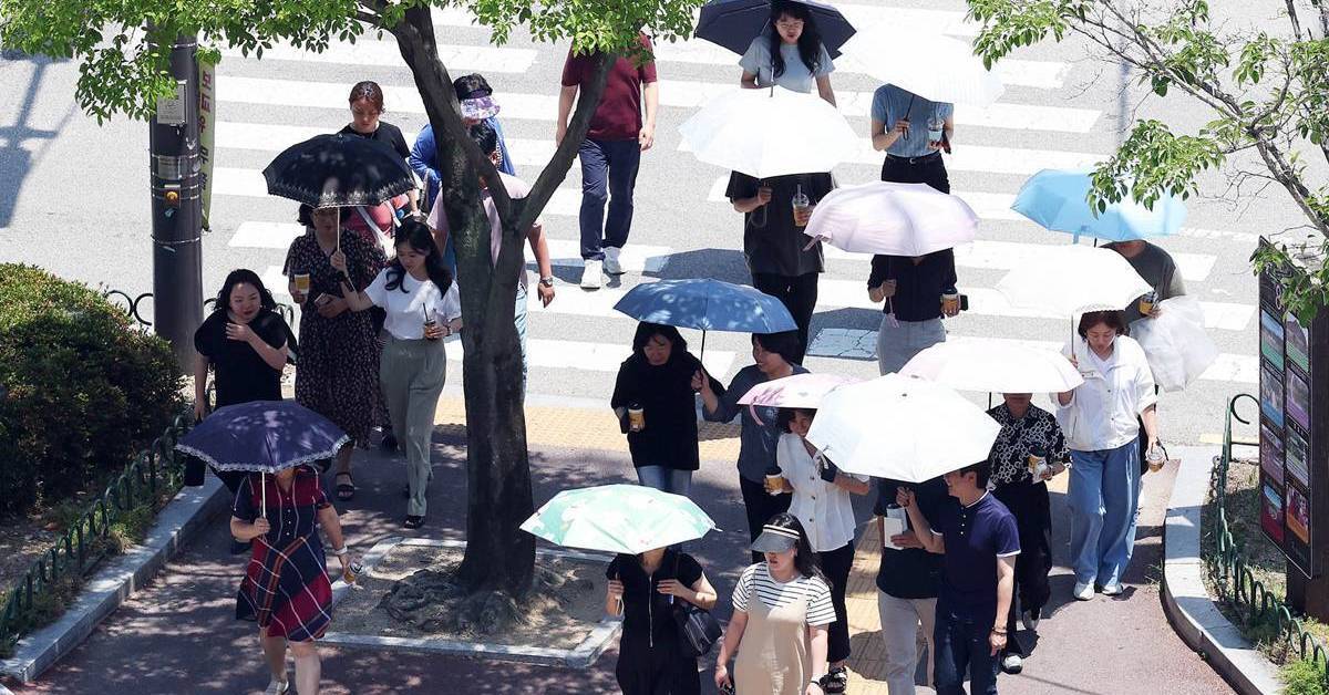하루 5억 원어치 쓸어갔다…폭염·폭우에 편의점서 불티난 ‘이것’