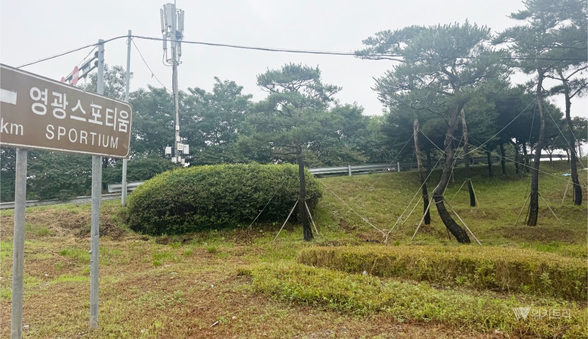 영광군, 여름철 도로변 잡초·칡덩굴 제거 총력전