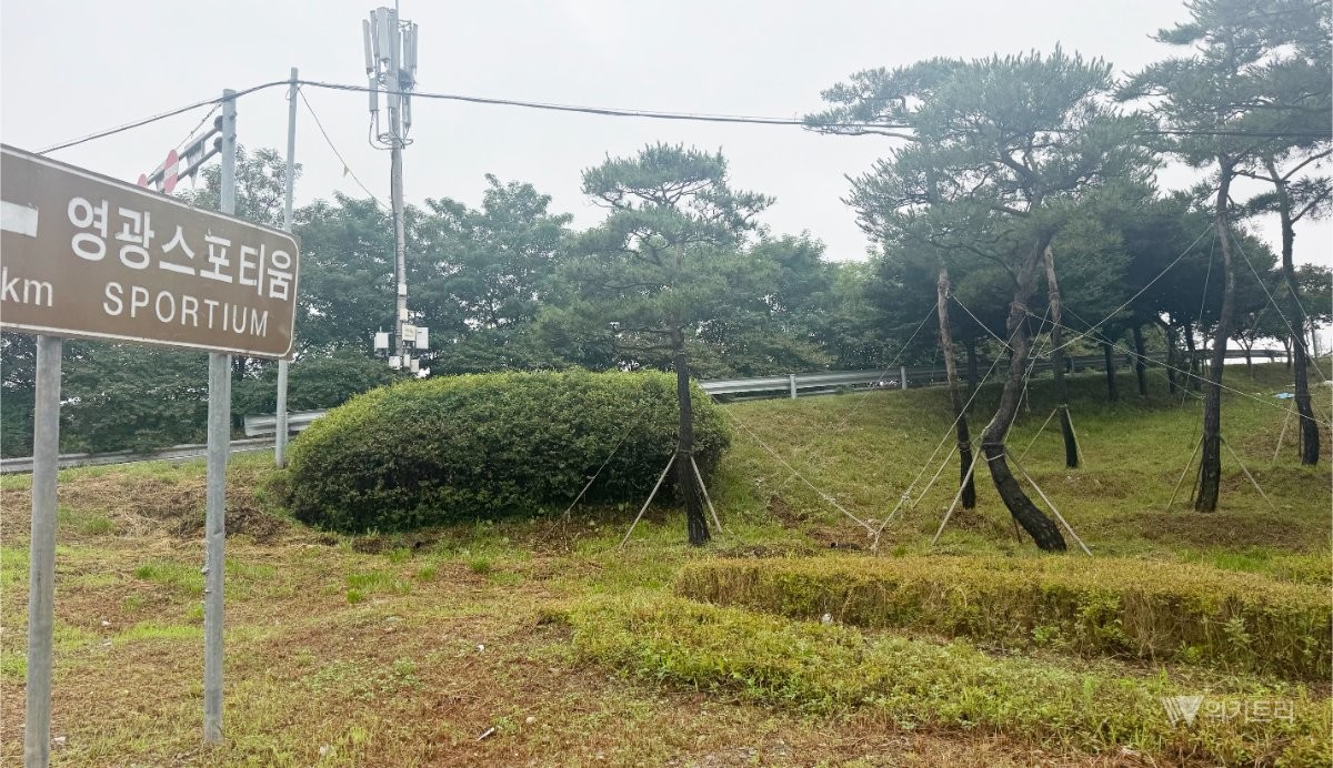 영광군은 영광읍의 핵심 교통 결절점인 종산교차로와 녹사교차로 일대를 집중 정비 구역으로 설정하고 전문 인력과 장비를 대거 투입하여 꼼꼼한 제초 작업을 실시했다. / 영광군