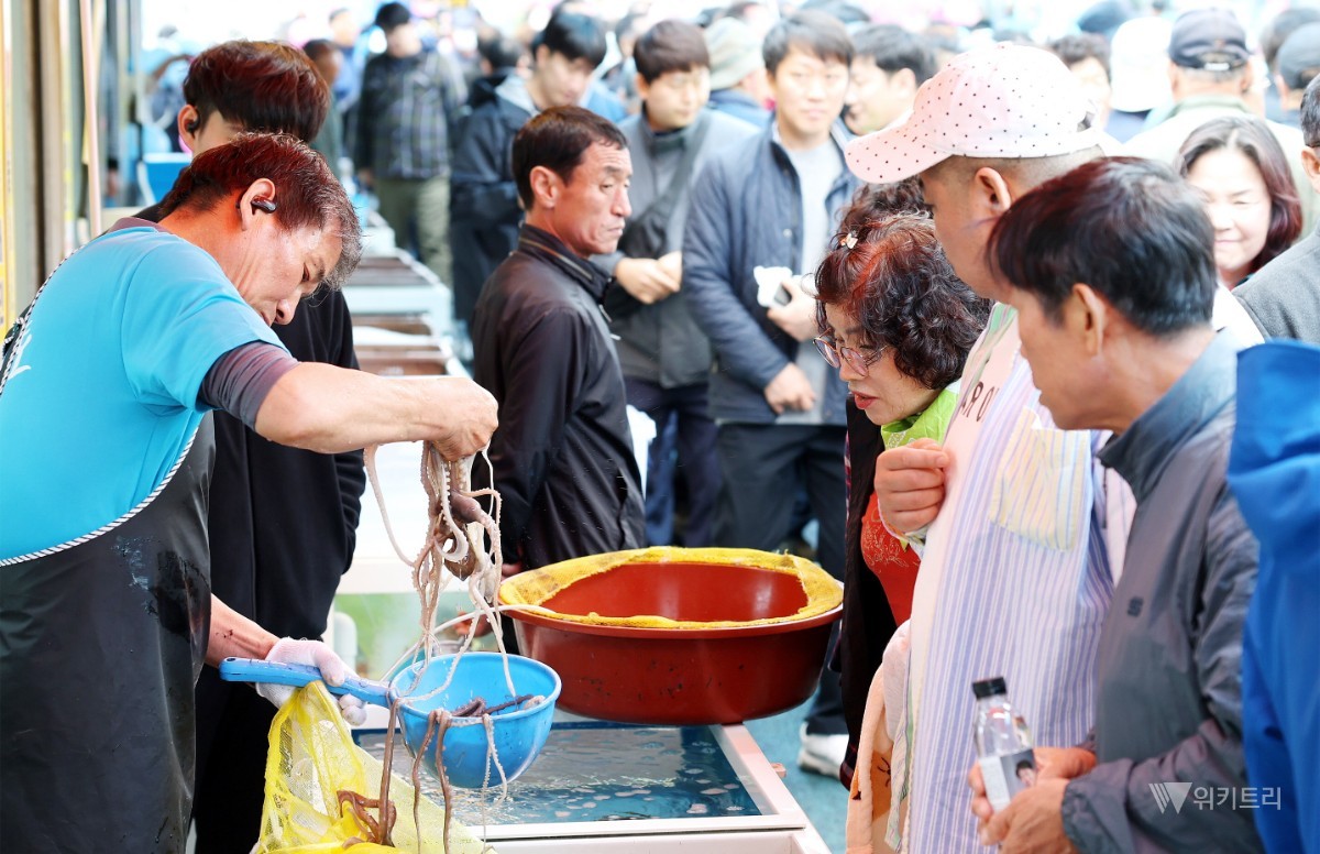 강진 마량놀토수산시장, 한여름 무더위 날릴 특별한 토요일로 초대