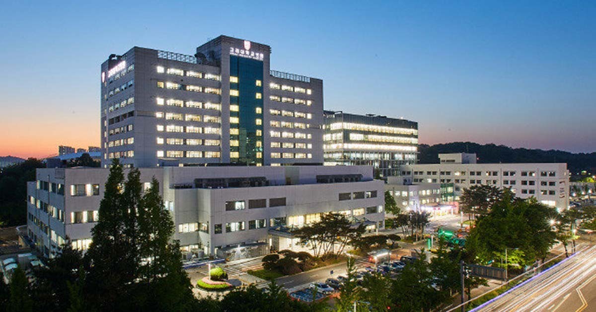 하필 '세월호 참사일'을… 고려대병원 앱 생년월일 예시 파문