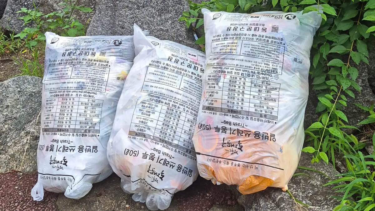 “이거 도대체 이유가 뭘까?”…쓰레기봉투 사진 1장에 4천명 넘게 '울컥'한 이유