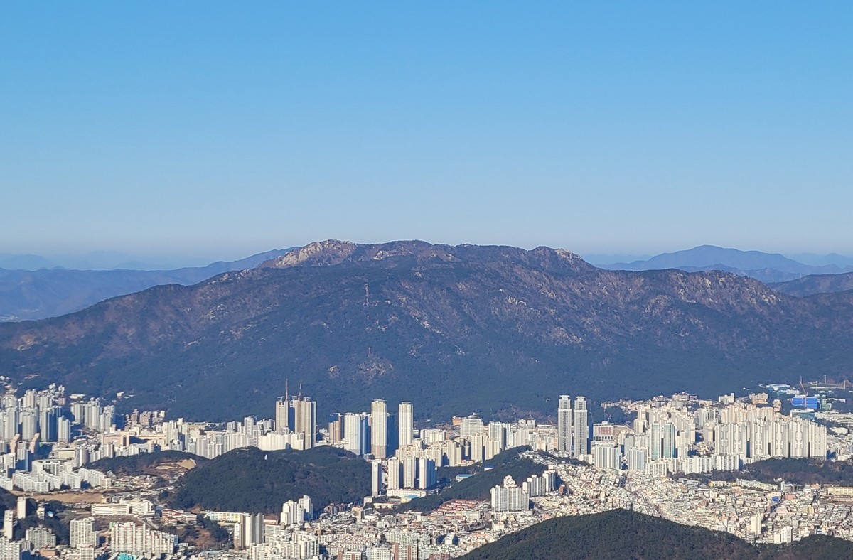 부산 금정산 모습. 기사 이해를 돕기 위한 자료 사진. 가는동자꽃은 우리나라에서 부산 금정산에서만 자생하는 보호종이다. 멸종위기야생생물 2급이자 희귀식물로 지정돼 보전 가치가 매우 높다는 평가를 받고 있다. / 연합뉴스