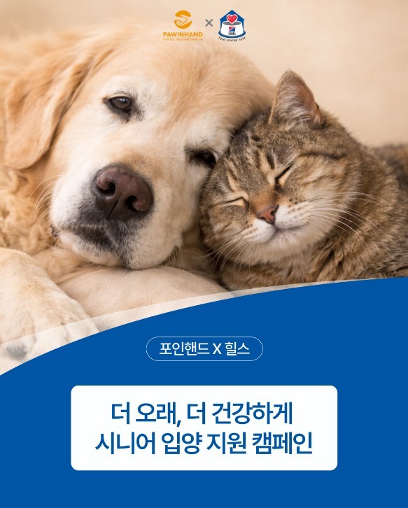 시니어 반려동물 입양 가정 지원 캠페인 이미지 / 힐스코리아 제공