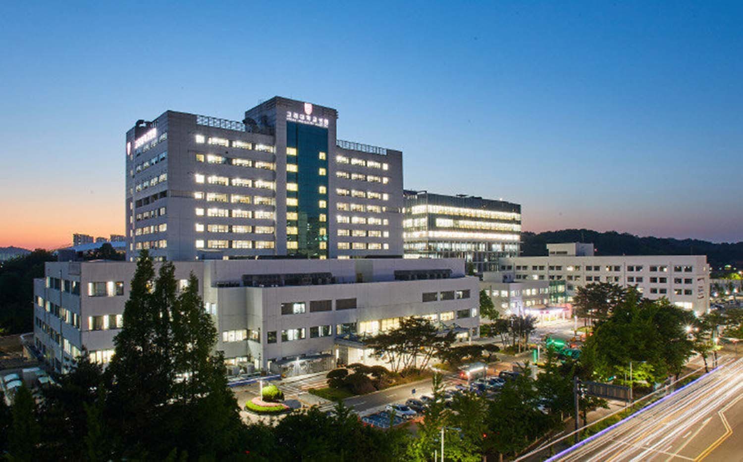 고려대학교 안산병원 전경. / 고려대 안산병원 제공
