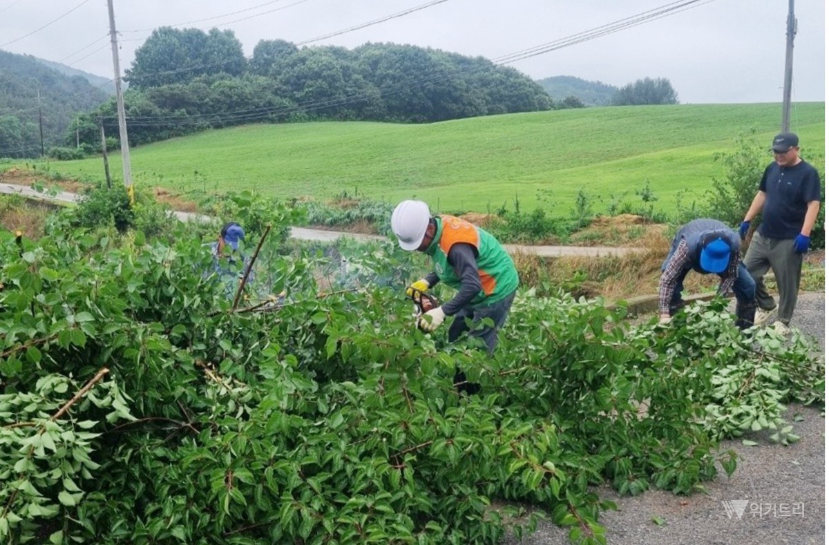 폭우 뚫고 구슬땀… 함평군 월야면 방재단 복구 총력