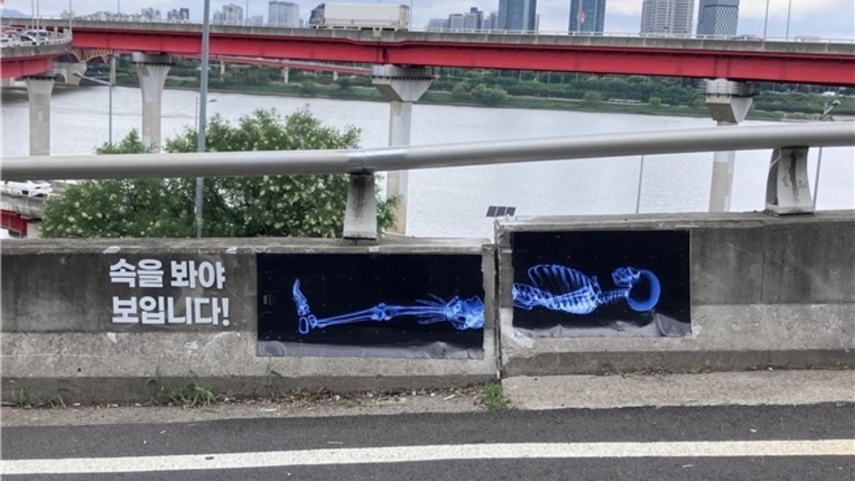 성수대교 9㎝ 단차 지점에 붙은 뜻밖의 사진