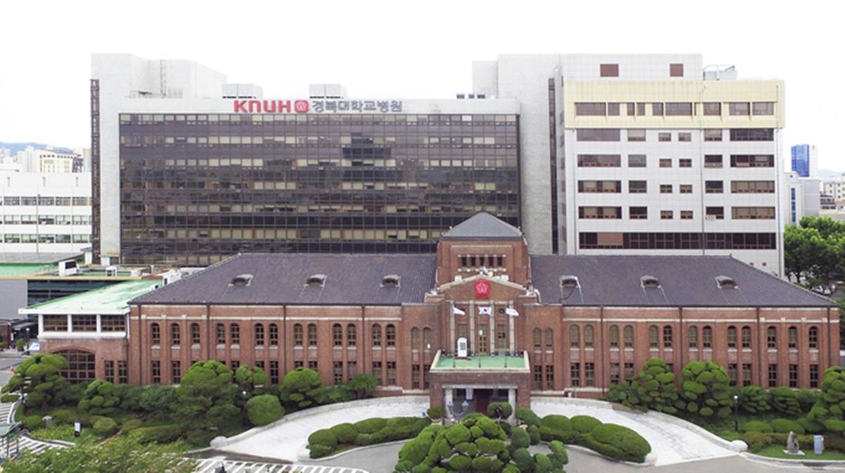 경북대학교병원 전경/경북대병원