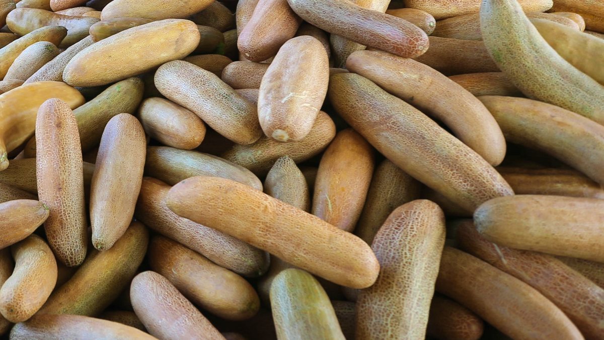 일반 오이 아니다…요즘 '냉국'으로 먹으면 그렇게 맛있다는 '이 채소'