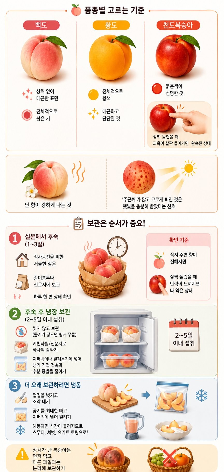 [인포그래픽] 기사 본문을 바탕으로 AI가 생성한 인포그래픽 이미지.