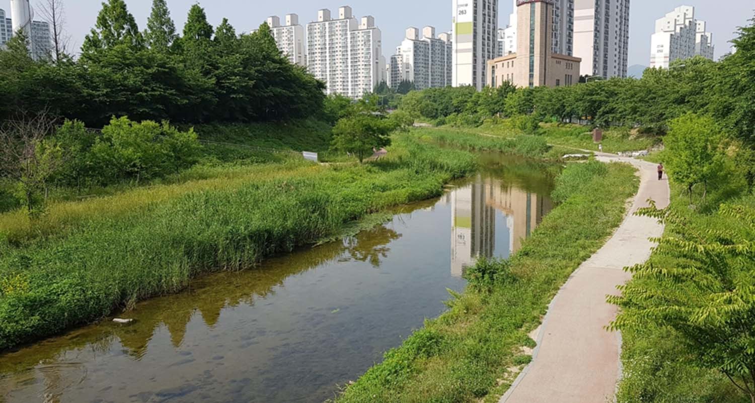 서호천 / 수원시 제공