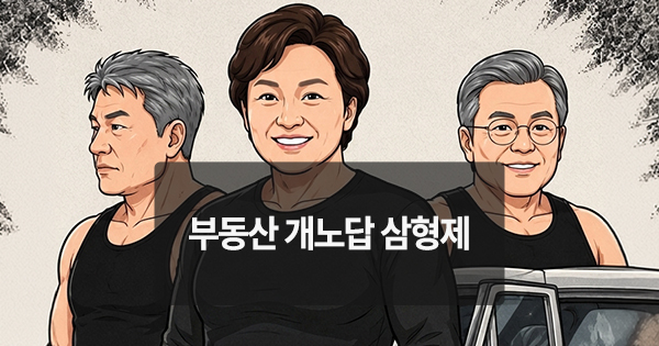 [위키만평] 부동산 개노답 삼형제