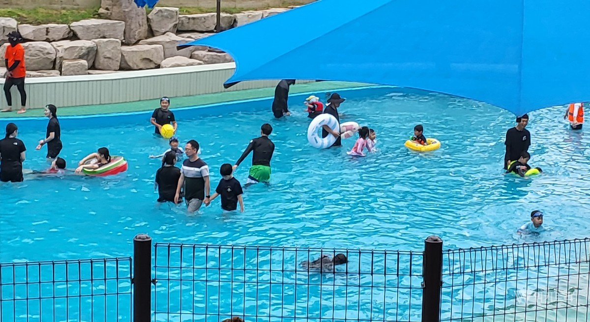 지난 17일 정식으로 문을 활짝 연 강진군의 3대 무료 물놀이장(강진읍 보은산 V랜드, 칠량면 초당림, 도암면 석문공원)이 개장 첫날부터 피서객들로 북새통을 이뤘다. / 강진군