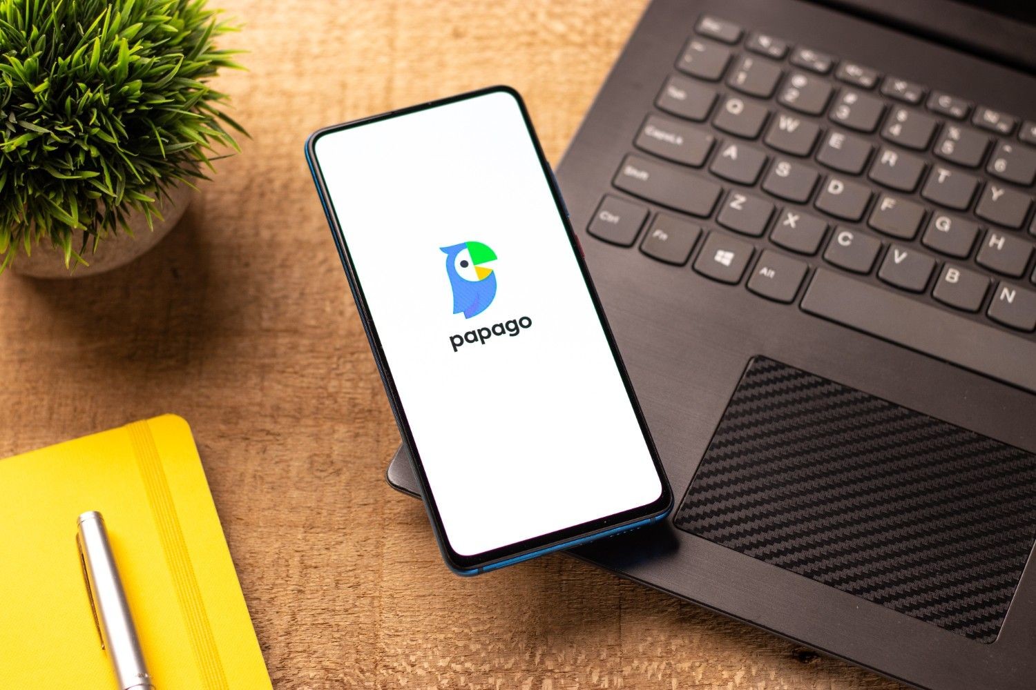 스마트폰에 실행된 네이버 파파고(Papago) 번역 애플리케이션. / 셔터스톡