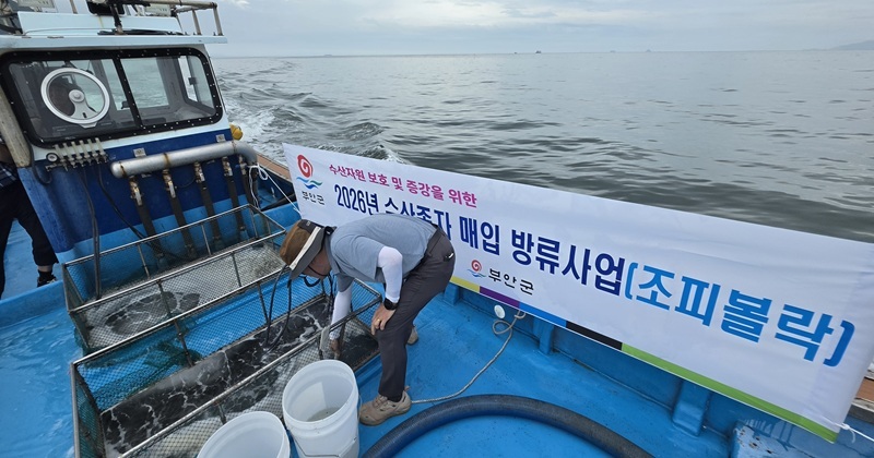 연안 수산자원 조성 수산종자 방류 완료