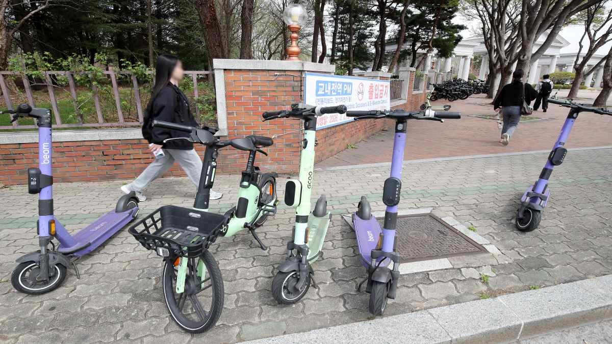 기사 이해를 돕기 위한 자료 사진 / 뉴스1
