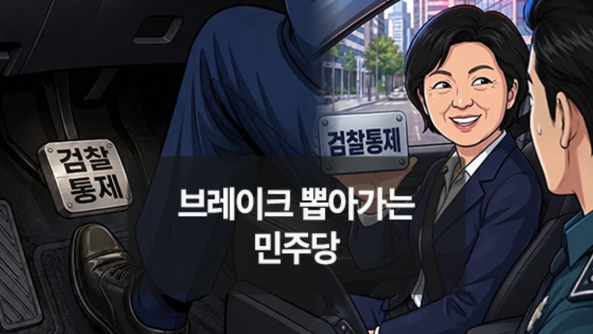 [위키만평] 브레이크 뽑아가는 민주당