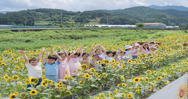 금산면 원평천, 주민 손길로 피어난「힐링 꽃밭」대변신