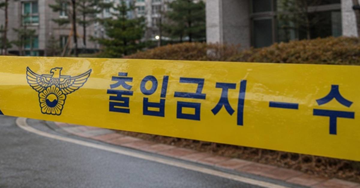 기사 이해를 돕기 위해 AI 툴로 제작한 자료 사진