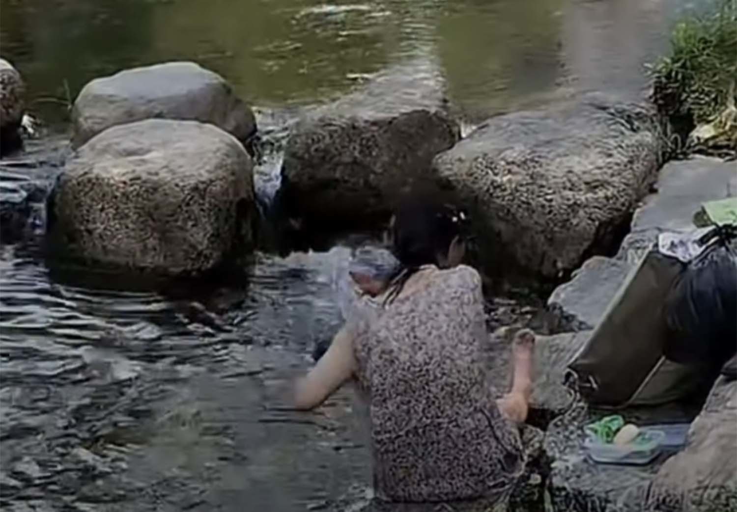 '청계천에 등장한 역대급 빌런' 영상을 캡처한 사진.