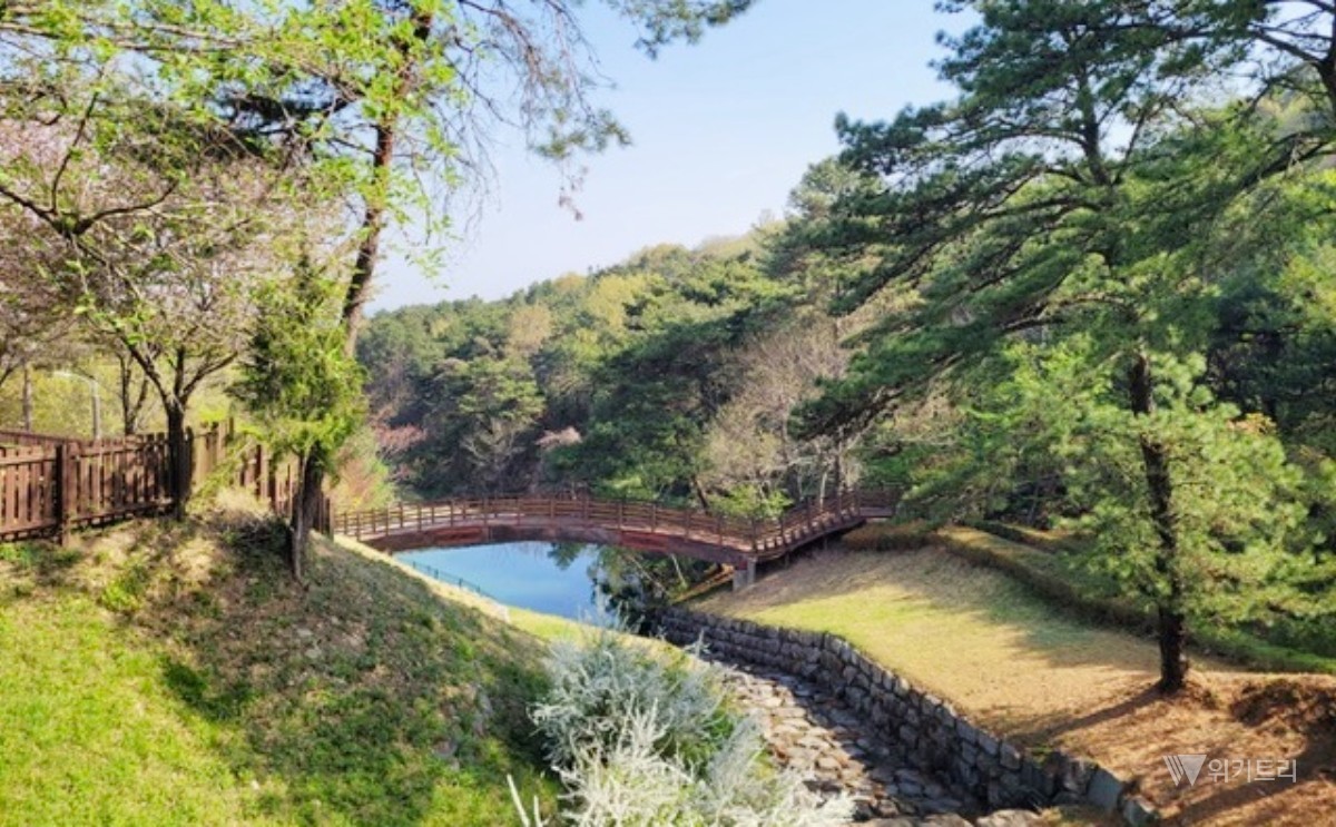 폭염 피할 '녹색 오아시스'… 나주 금성산 생태숲 여름 힐링 명소로 '활짝'