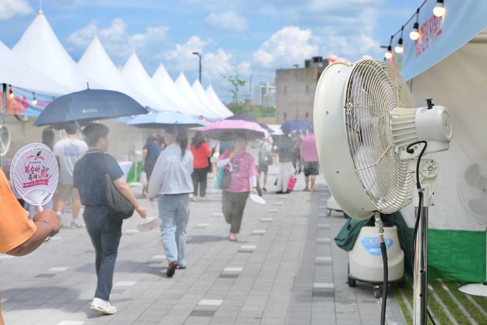 행사장 안개형 냉각 사진 / 세종시